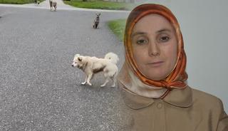 Can korkusuyla kurusıkı aldı işinden oldu!