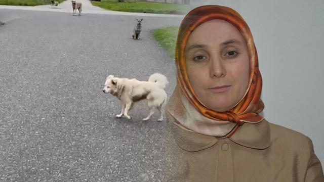 Can korkusuyla kurusıkı aldı işinden oldu! Belediye bana değer vermiyor