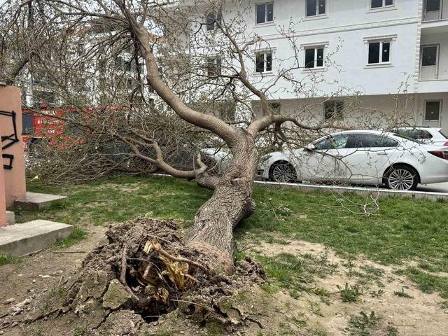 Denizli&rsquo;de  &ccedil;atılar u&ccedil;tu, ağa&ccedil;lar ara&ccedil;ların &uuml;zerine devrildi, insanlar y&uuml;r&uuml;yemedi 2
