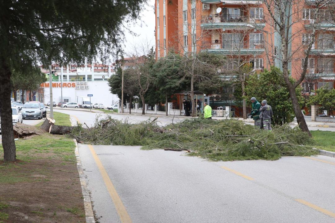 Denizli de kuvvetli r&uuml;zgar; ağa&ccedil;lar devrildi, &ccedil;atılar u&ccedil;tu 3