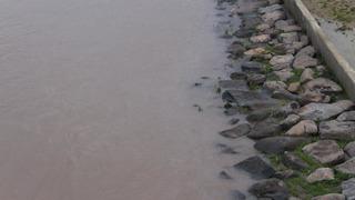 Cizre'de boru hattındaki sızıntı nedeniyle petrol Dicle Nehrine karıştı, ekipler arızayı giderdi