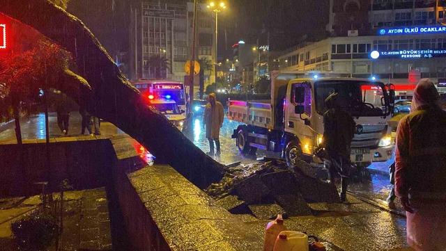 Faciadan dönüldü: Asırlık çam ağacı devrildi 3