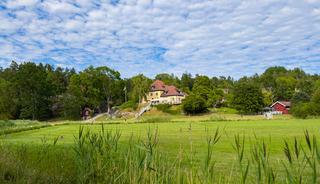 &Uuml;lke salgın altında: Evlerin i&ccedil;ine kadar giriyor