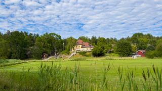 Ülke salgın altında: Baharın gelmesiyle kabus başladı! Evlerin içine kadar giriyor