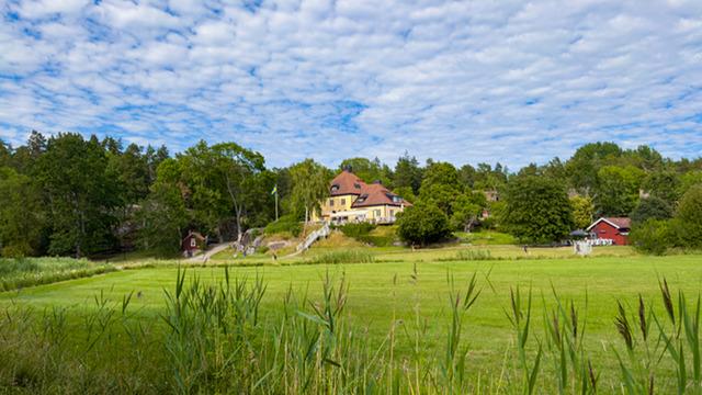 Ülke salgın altında: Baharın gelmesiyle kabus başladı! Evlerin içine kadar giriyor