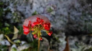 Baharda yağan lapa lapa kar araçları yolda bıraktı