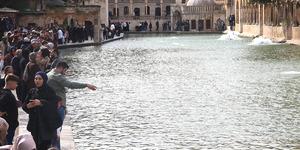 Eski haline d&ouml;nd&uuml;, akın ettiler: Hayran kaldılar