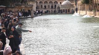 Eski haline döndü, akın ettiler: Hayran kaldılar