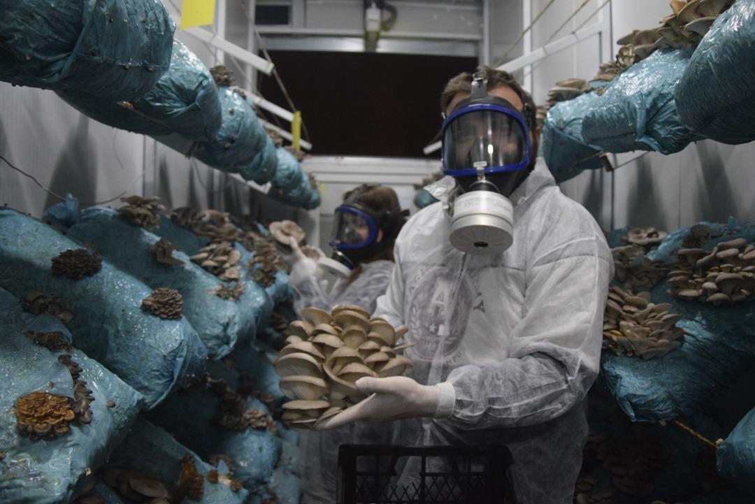 Hobi olarak başladı, tesis kurdu: G&uuml;nde 1 ton &uuml;retiyor 5