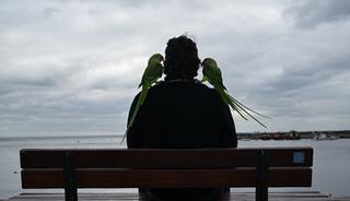 G&ouml;z&uuml; gibi bakıyor, yanından hi&ccedil; ayırmıyor