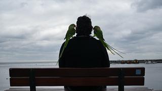 Dostlukları bir yıl önce başladı! Gözü gibi bakıyor, yanından hiç ayırmıyor