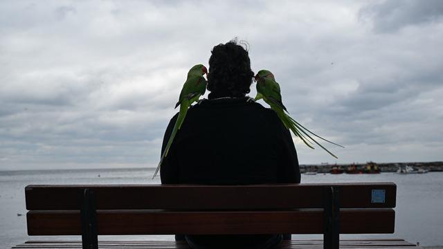Dostlukları bir yıl önce başladı! Gözü gibi bakıyor, yanından hiç ayırmıyor