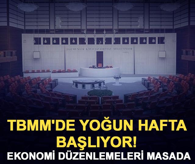 TBMM'de yoğun hafta başlıyor! Ekonomi düzenlemeleri masada