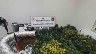 Jandarmadan uyuşturucu operasyonu: 1 gözaltı