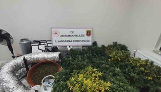 Jandarmadan uyuşturucu operasyonu