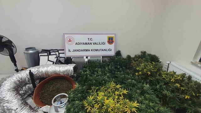 Jandarmadan uyuşturucu operasyonu: 1 gözaltı