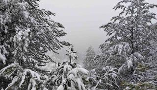 Demirci&rsquo;nin y&uuml;ksek kesimlerinde kar yağışı etkili oluyor