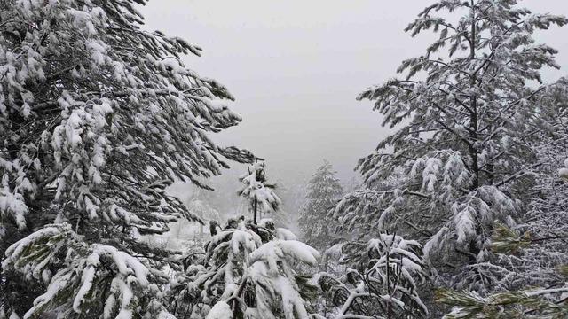 Demirci’nin yüksek kesimlerinde kar yağışı etkili oluyor
