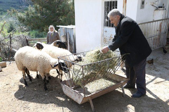 Büyükşehir’den şehit yakınlarına destek