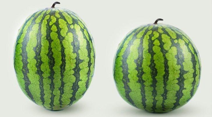 Karpuzun da cinsiyeti vardır