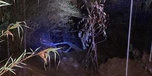 4 saat bir ota tutunarak hayatta kaldı! Mucize gibi kurtuluş