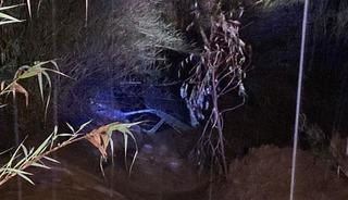 4 saat bir ota tutunarak hayatta kaldı! Mucize gibi kurtuluş