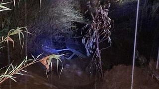 Aracıyla selde sürüklendi, 4 saat bir ota tutunarak hayatta kaldı! Mucize gibi kurtuluş