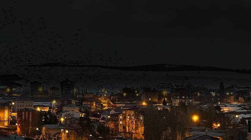 Yer: Ardahan! G&ouml;ky&uuml;z&uuml; bir anda siyaha b&uuml;r&uuml;nd&uuml;: Binlercesi istila etti