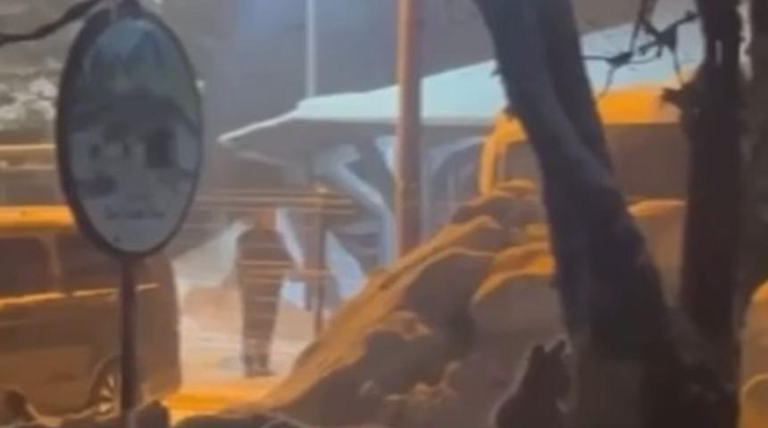 Uludağ&rsquo;da kış uykusundan uyanan ayı ailesi yemek i&ccedil;in Sarıalan&rsquo;a indi