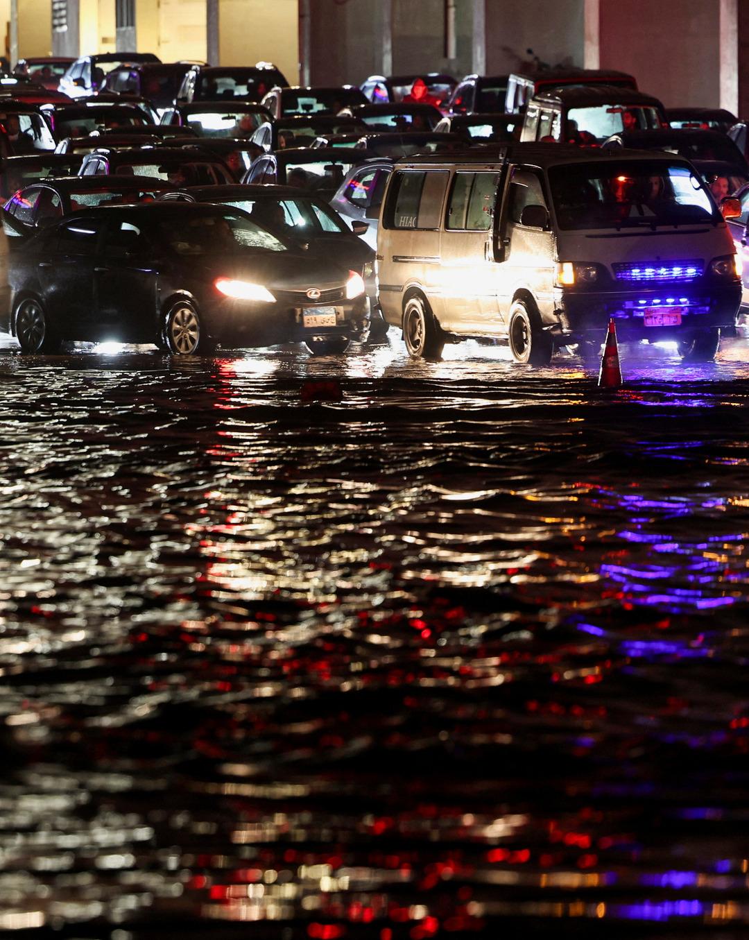 Sel suları taşıdı: Şehir akrep istilasına uğradı, 500 kişi hastanelik oldu! 1