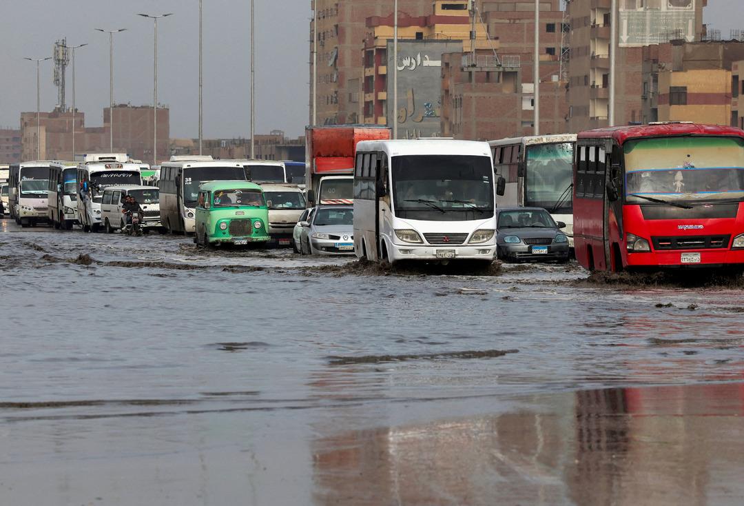 Sel suları taşıdı: Şehir akrep istilasına uğradı, 500 kişi hastanelik oldu! 2