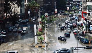 Şehir akrep istilasına uğradı, 500 kişi hastanelik oldu!