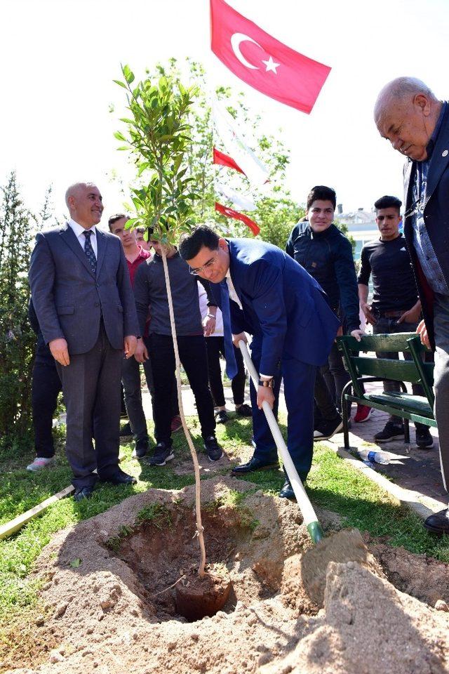 Tütüncü, öğrencilerle okul bahçesini ağaçlandırdı