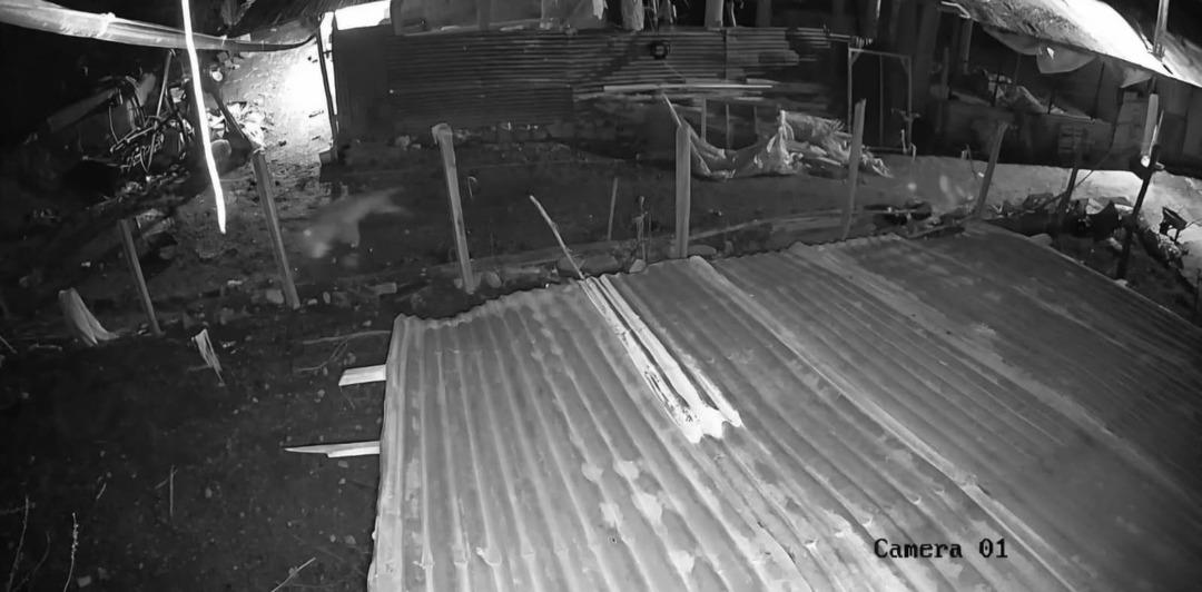 Malatya da k&uuml;mese giren kurt, kazı alıp ka&ccedil;tı 1