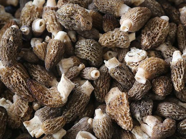 Tarladan &ccedil;ıkar &ccedil;ıkmaz kapış kapış gidiyor! Talebe yetişemiyorlar 