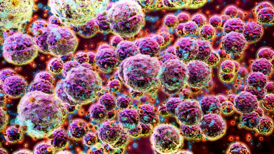 Yeni varyant Cicada hızla yayılıyor! Riskli 12 belirti açıklandı 1