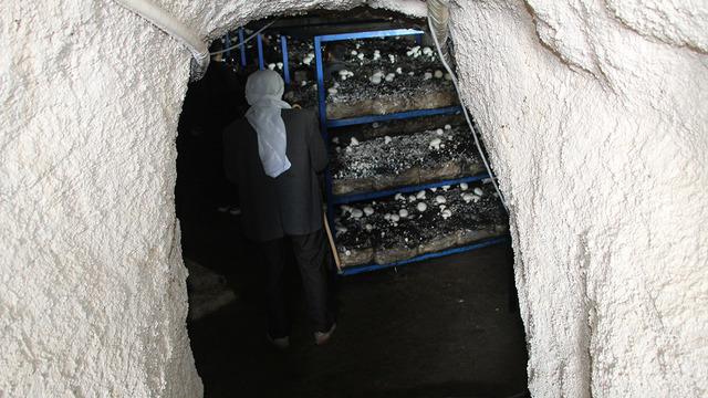 İlde ilk kendileri yaptı! Dededen kalma 2000 yıllık mağara şimdi para basıyor