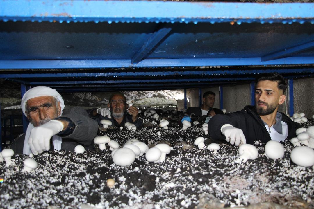 İlde ilk kendileri yaptı! Dededen kalma 2000 yıllık mağara şimdi para basıyor 1