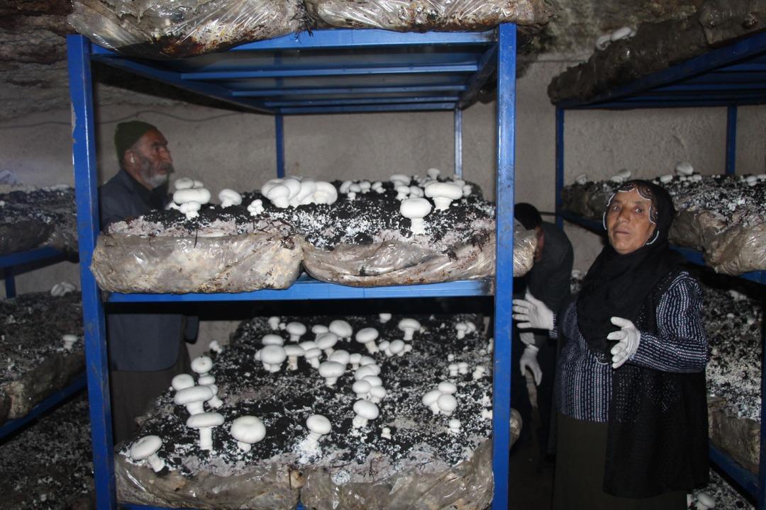 İlde ilk kendileri yaptı! Dededen kalma 2000 yıllık mağara şimdi para basıyor 3