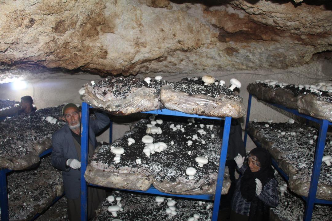 İlde ilk kendileri yaptı! Dededen kalma 2000 yıllık mağara şimdi para basıyor 4