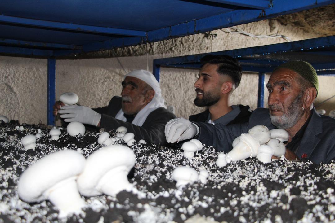 İlde ilk kendileri yaptı! Dededen kalma 2000 yıllık mağara şimdi para basıyor 5