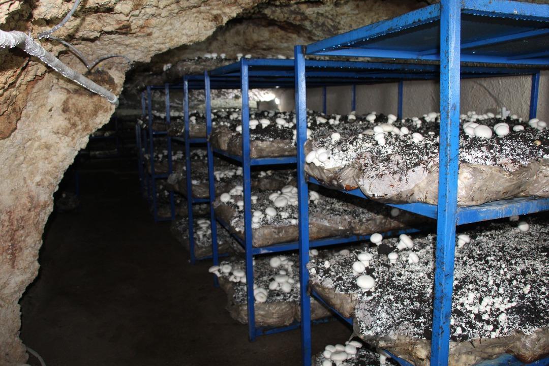 İlde ilk kendileri yaptı! Dededen kalma 2000 yıllık mağara şimdi para basıyor 6