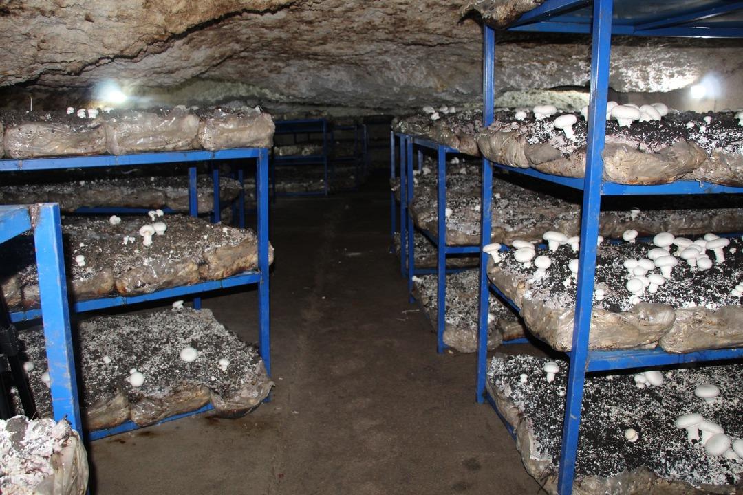 İlde ilk kendileri yaptı! Dededen kalma 2000 yıllık mağara şimdi para basıyor 7