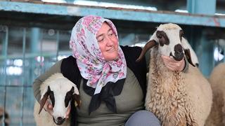 Hayvancılık desteği üreticileri sevindirdi