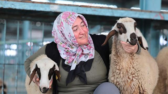 Hayvancılık desteği üreticileri sevindirdi