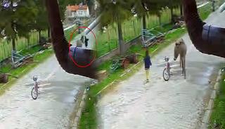 Oyun oynarken kabusu yaşadı: &Ccedil;ocuğa eşek saldırdı! 