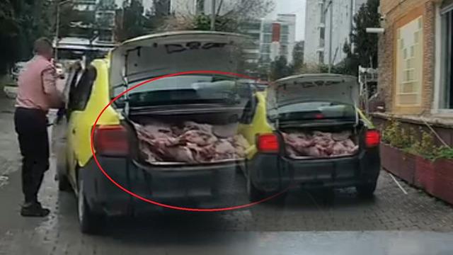 Samsun'da skandal olay! Taksinin bagajında et sevkiyatı yaptılar
