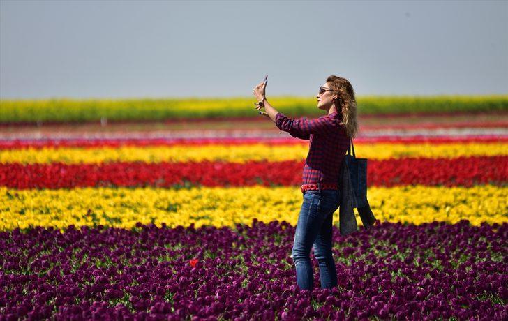 Bozkırın ortasında rengarenk lale tarlası G2