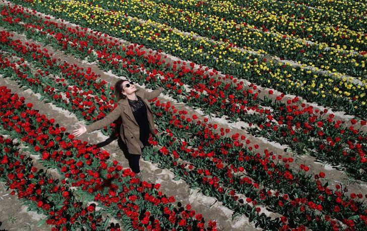 Bozkırın ortasında rengarenk lale tarlası G3