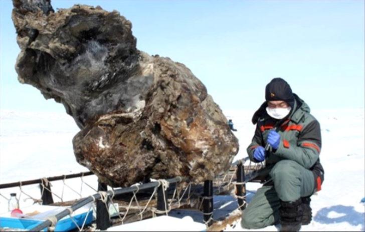 Bu karelerin gerçek olduğuna inanamayacaksınız G3